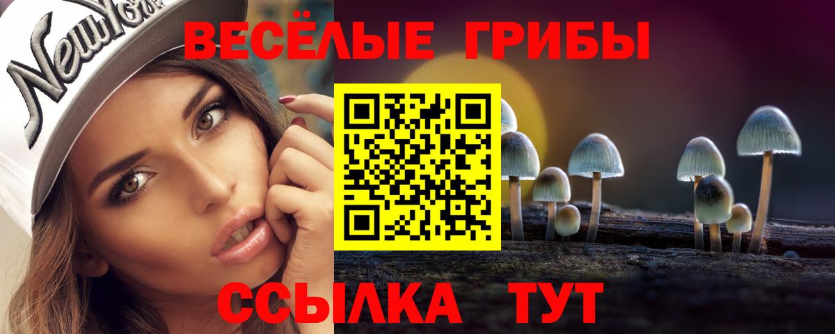 Псилоцибиновые грибы мицелий  Галлюциногенные грибы Psilocybe  Вход с VPN  Анапа 